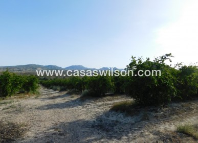 Sale - Plot of Land - Torremendo