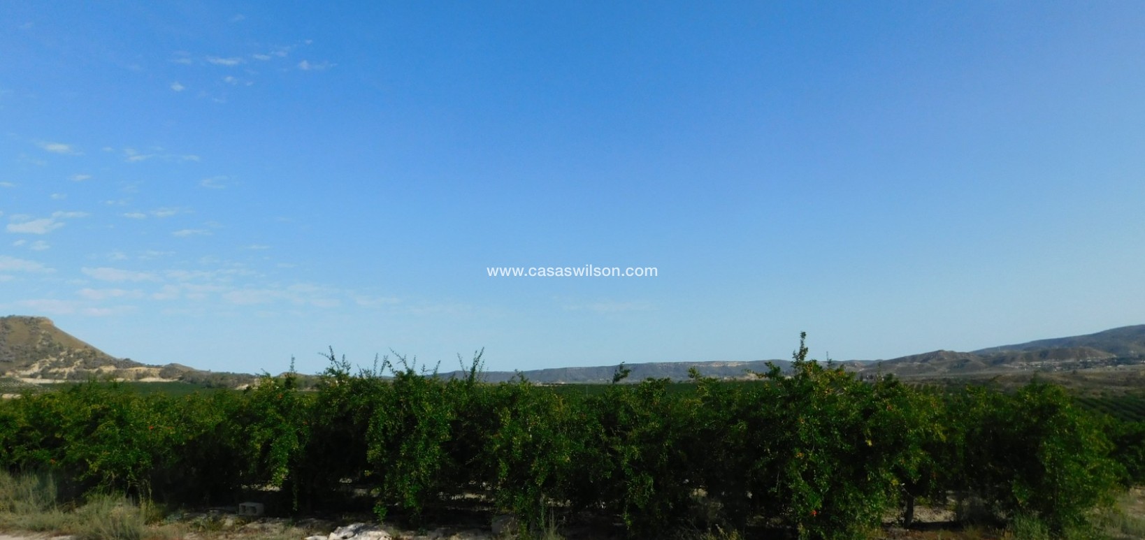Sale - Plot of Land - Torremendo
