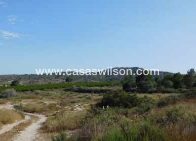 Sale - Plot of Land - Torremendo