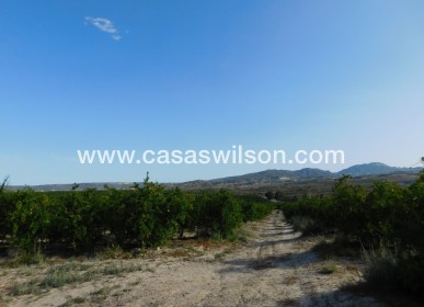 Sale - Plot of Land - Torremendo