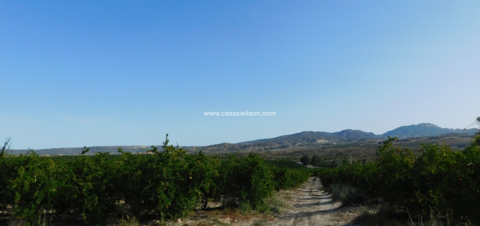 Sale - Plot of Land - Torremendo