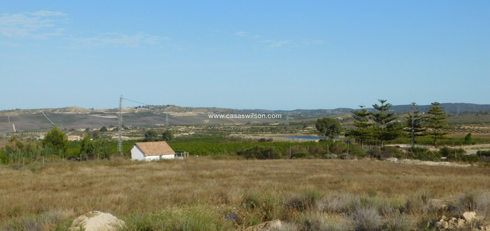 Sale - Plot of Land - Torremendo