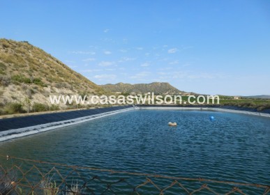 Sale - Plot of Land - Torremendo