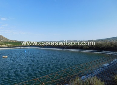 Sale - Plot of Land - Torremendo