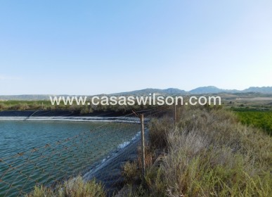 Sale - Plot of Land - Torremendo