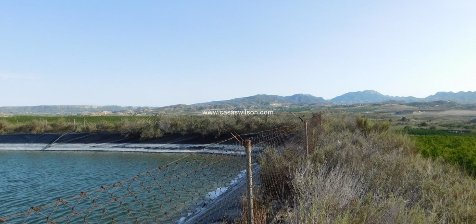 Sale - Plot of Land - Torremendo