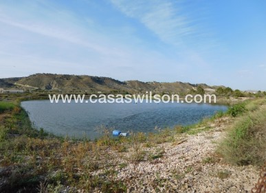 Sale - Plot of Land - Torremendo