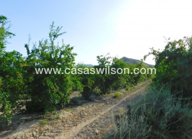 Venta - Plot of Land - Torremendo