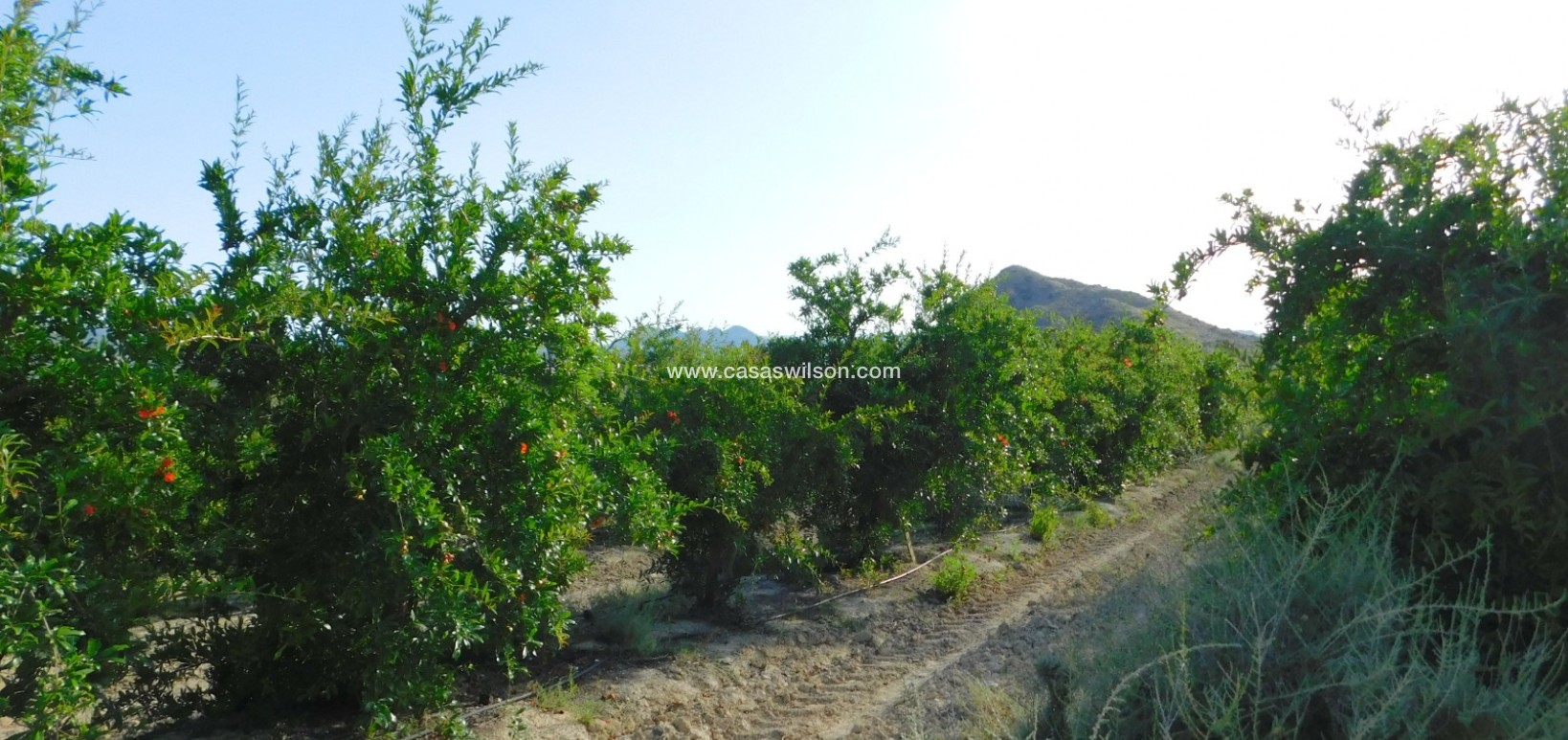 Venta - Plot of Land - Torremendo