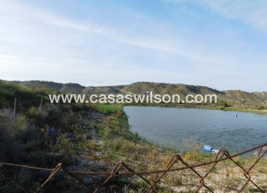 Venta - Plot of Land - Torremendo