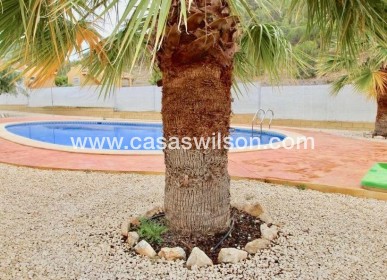 New Build - Villa - La Romana - Villas de la Romana