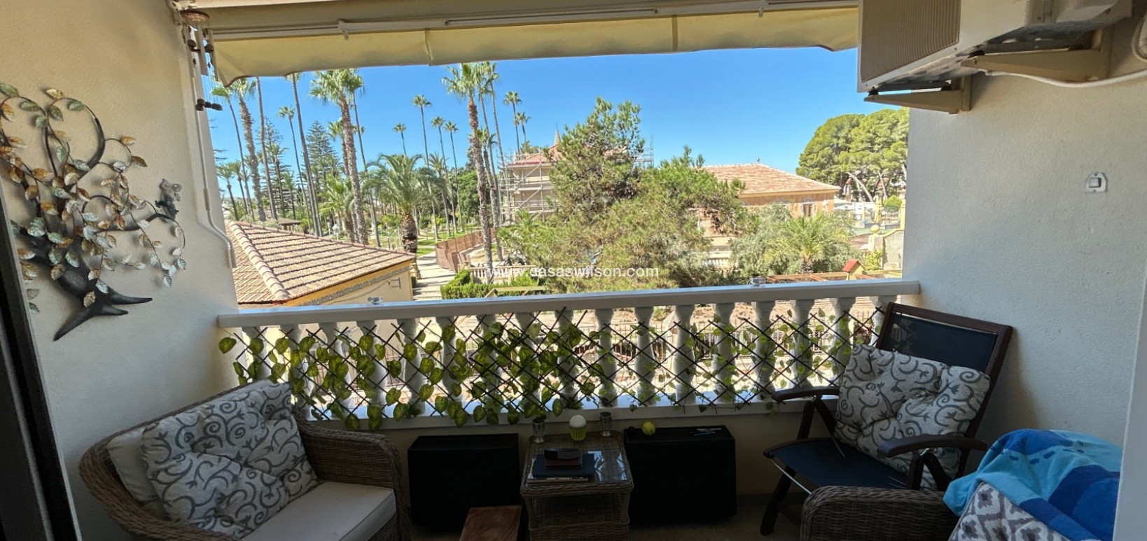 Sale - Apartment - Jacarilla