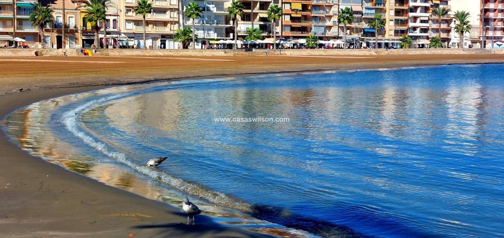 New Build - Villa - Fuente Alamo - La Pinilla