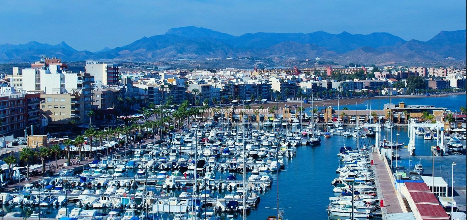 New Build - Villa - Fuente Alamo - La Pinilla