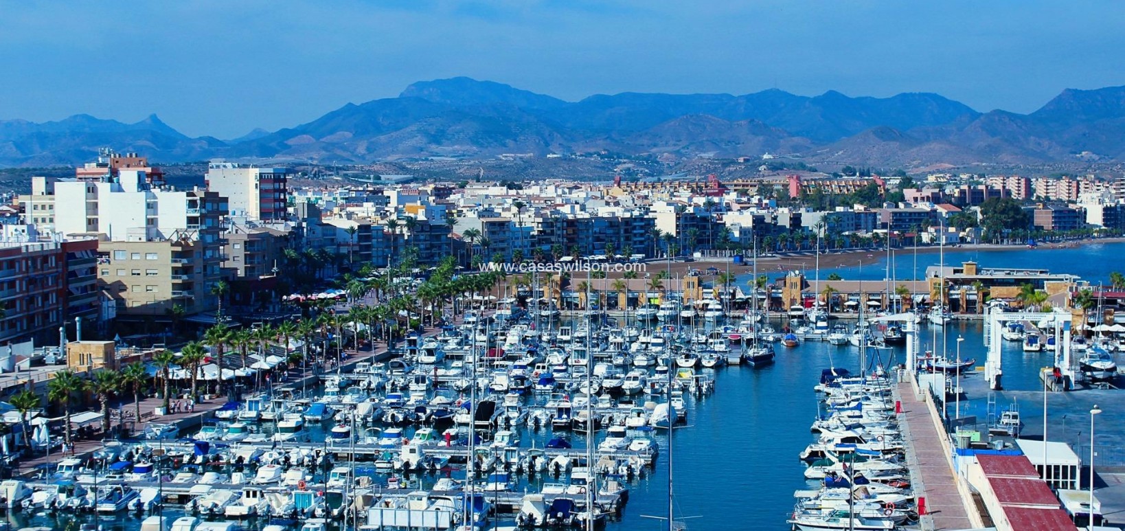 New Build - Bungalow - Fuente Alamo - La Pinilla