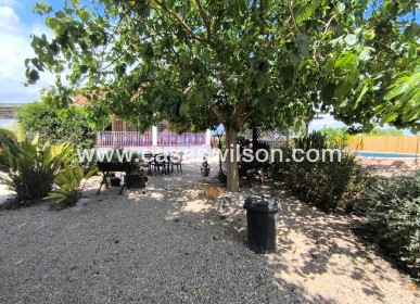 Sale - Country Property/Finca - Orihuela