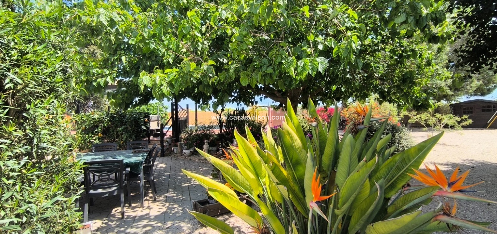 Sale - Country Property/Finca - Orihuela