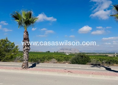 Sale - Apartment - Algorfa