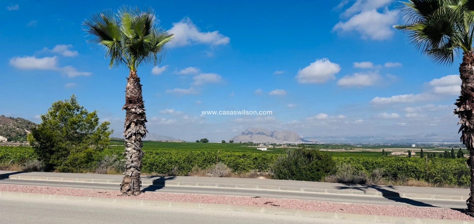 Sale - Apartment - Algorfa