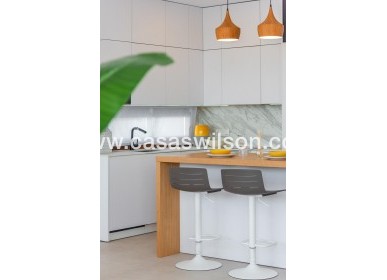 New Build - Villa - Vera - Vera playa