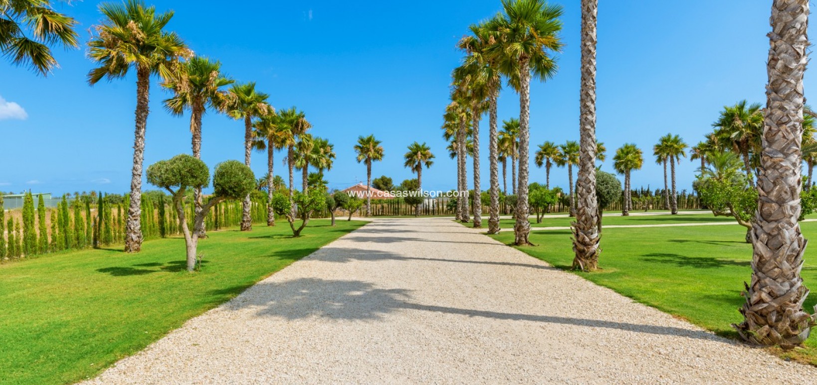 Sale - Villa - Elche - Elche/Elx