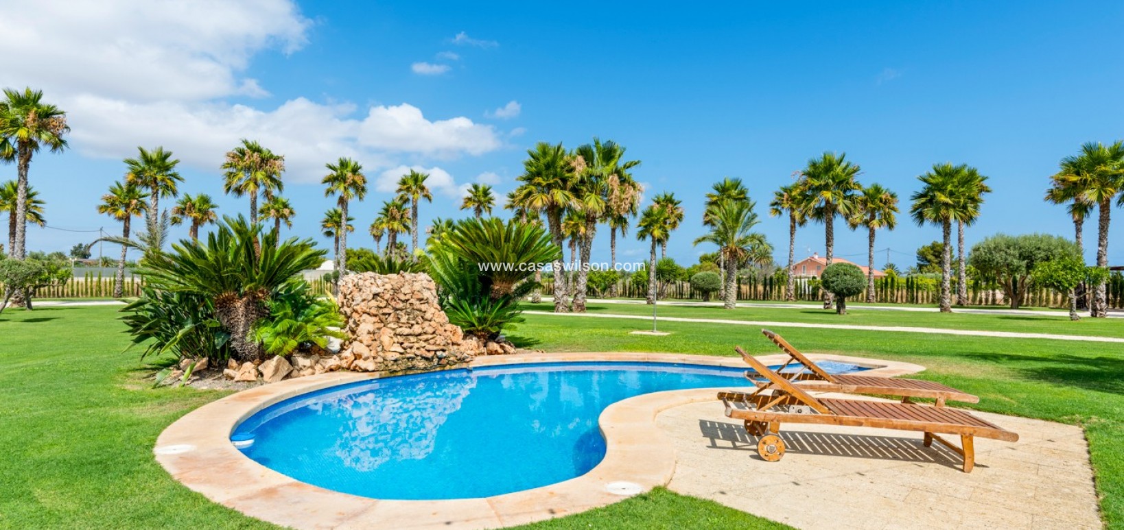 Sale - Villa - Elche - Elche/Elx