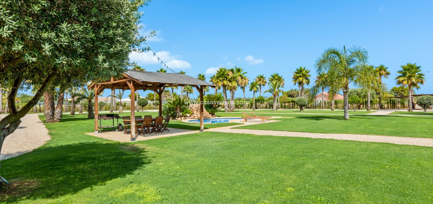 Sale - Villa - Elche - Elche/Elx