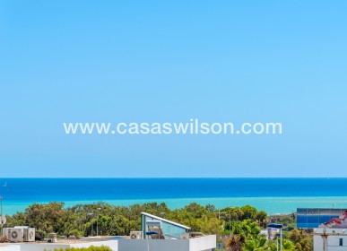 Sale - Villa - Guardamar del Segura