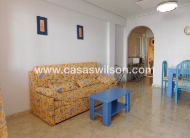 Long term rental - Apartment - Orihuela - La Matanza