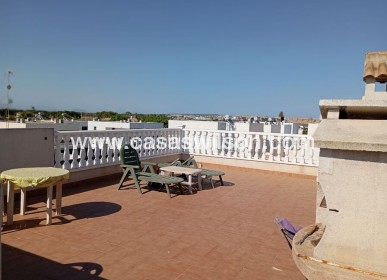 Sale - Apartment - Daya Vieja