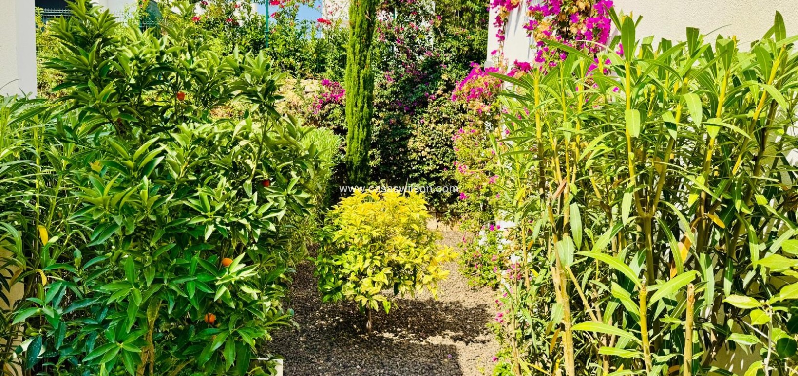 Sale - Villa - Algorfa - La finca Golf