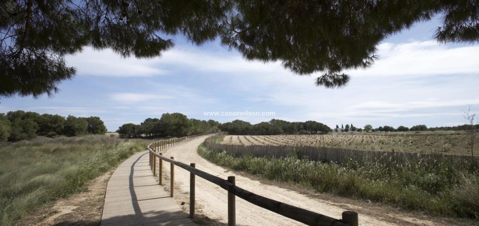 New Build - Bungalow - Torrevieja - Altos del Sol