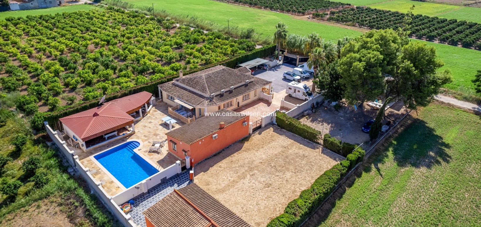 Venta - Finca - Almoradí - Las Heredades