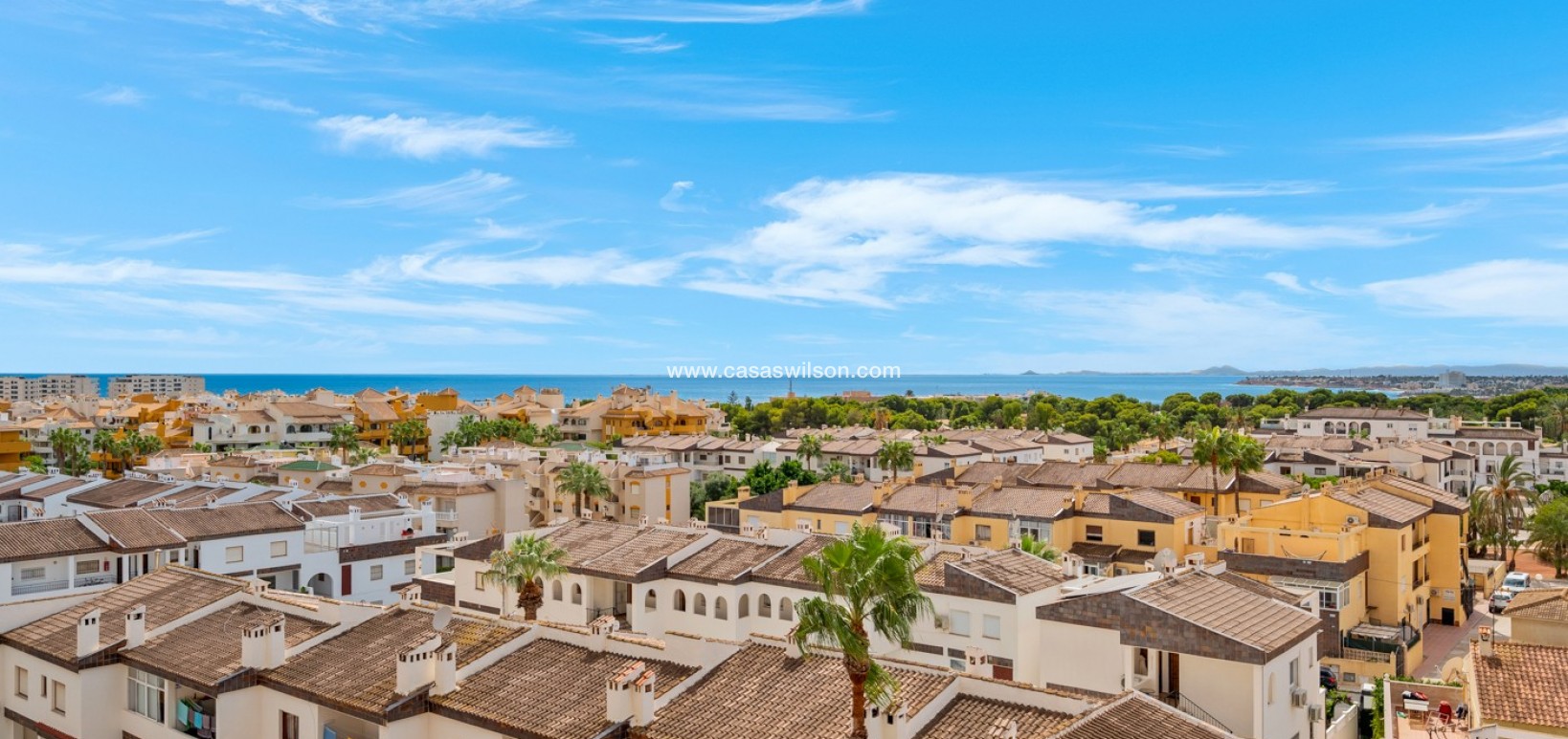 Sale - Apartment - Punta Prima