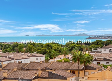 Sale - Apartment - Punta Prima