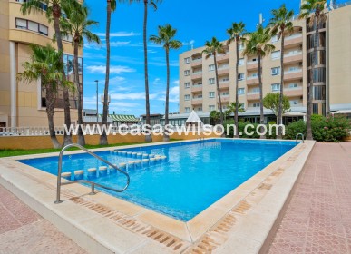 Sale - Apartment - Punta Prima