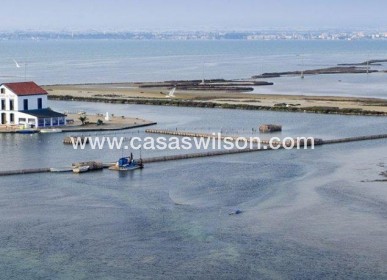 New Build - Villa - San Pedro del Pinatar - CENTRO