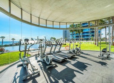Sale - Appartement - Torrevieja - Punta prima