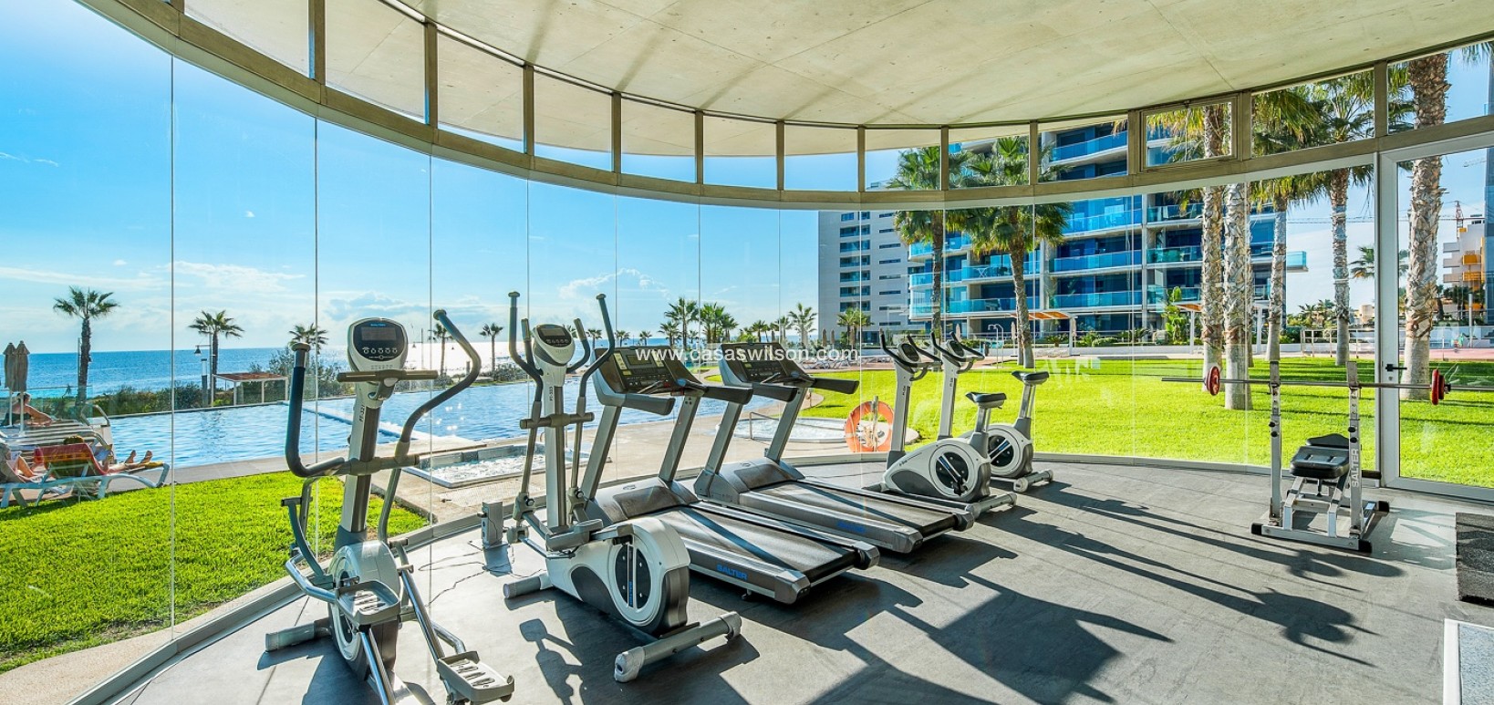 Sale - Appartement - Torrevieja - Punta prima