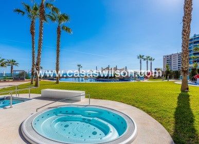Sale - Appartement - Torrevieja - Punta prima