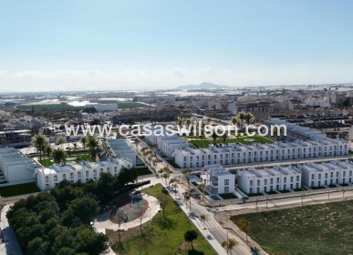 New Build - Villa - Pilar de la Horadada - pueblo