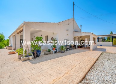 Venta - Finca - Elche - Elche/Elx