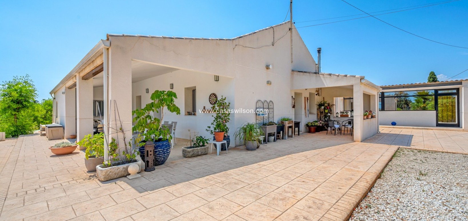 Venta - Finca - Elche - Elche/Elx