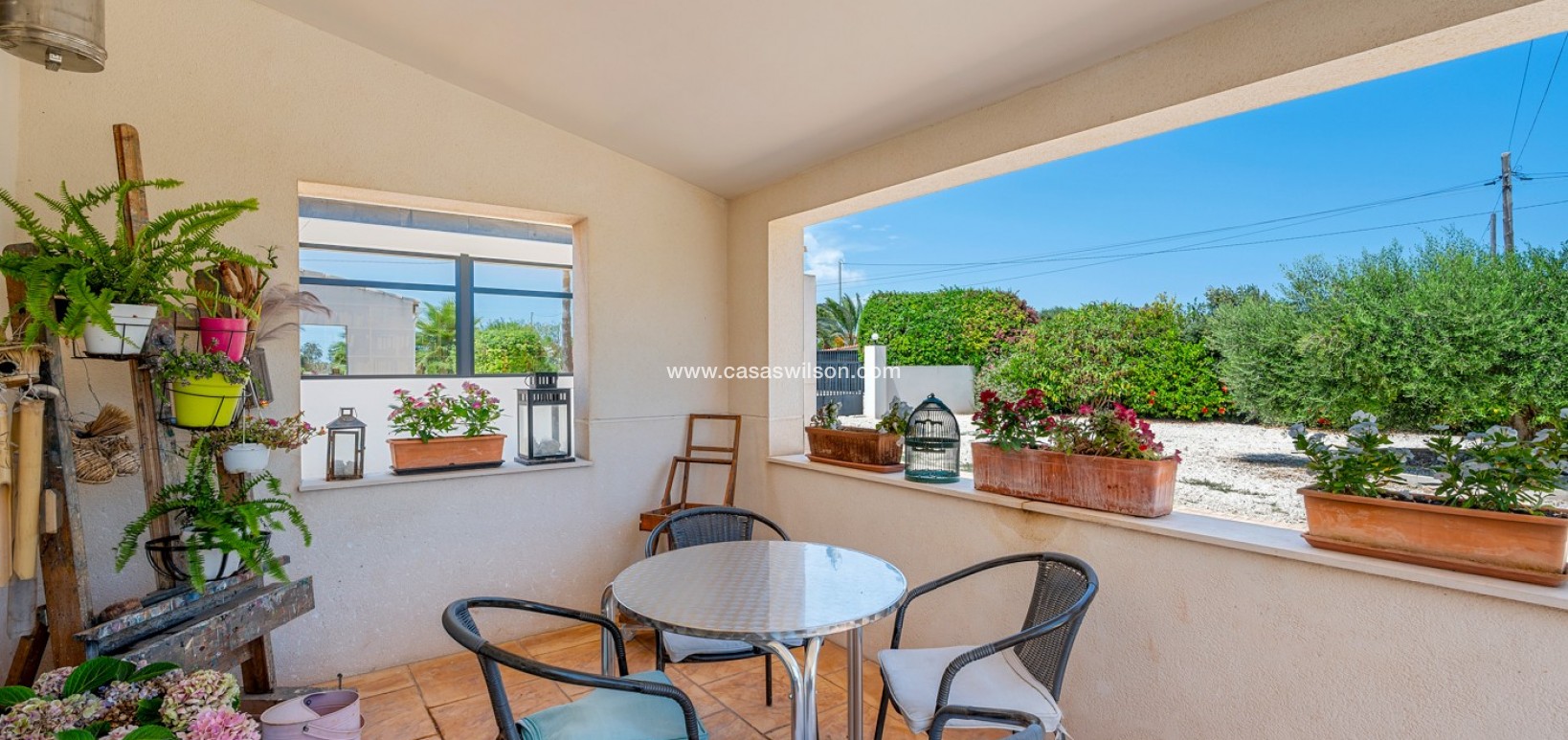 Venta - Finca - Elche - Elche/Elx