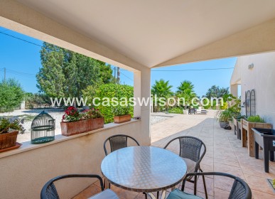 Venta - Finca - Elche - Elche/Elx