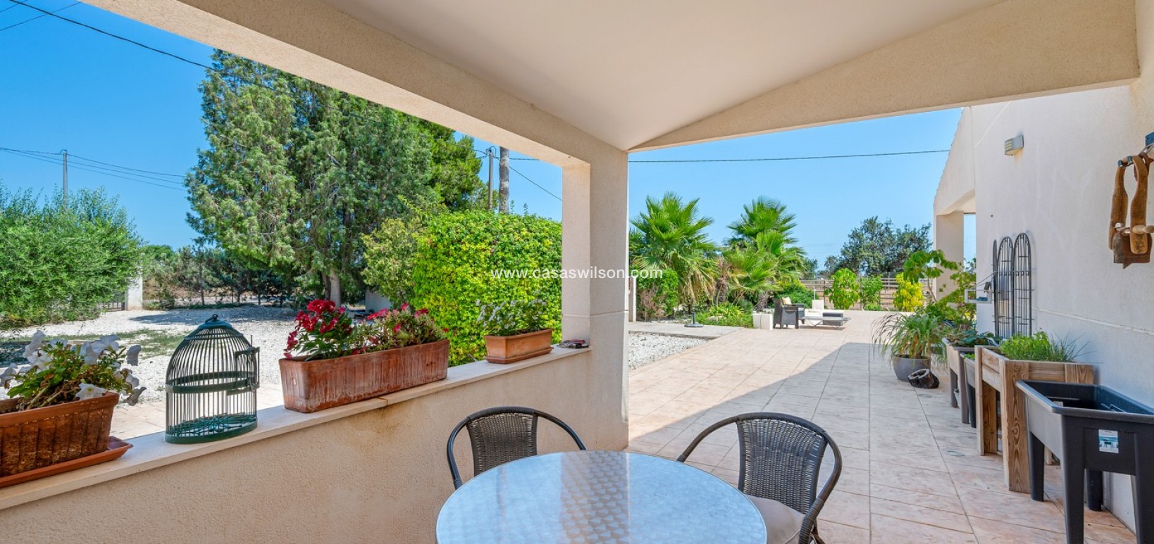 Venta - Finca - Elche - Elche/Elx