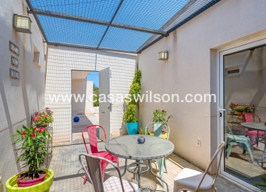 Venta - Finca - Elche - Elche/Elx