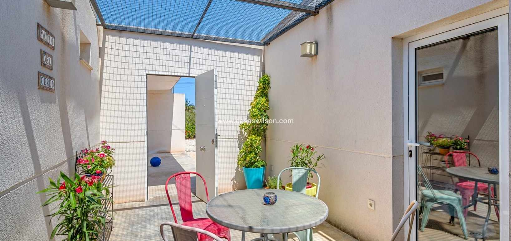 Venta - Finca - Elche - Elche/Elx