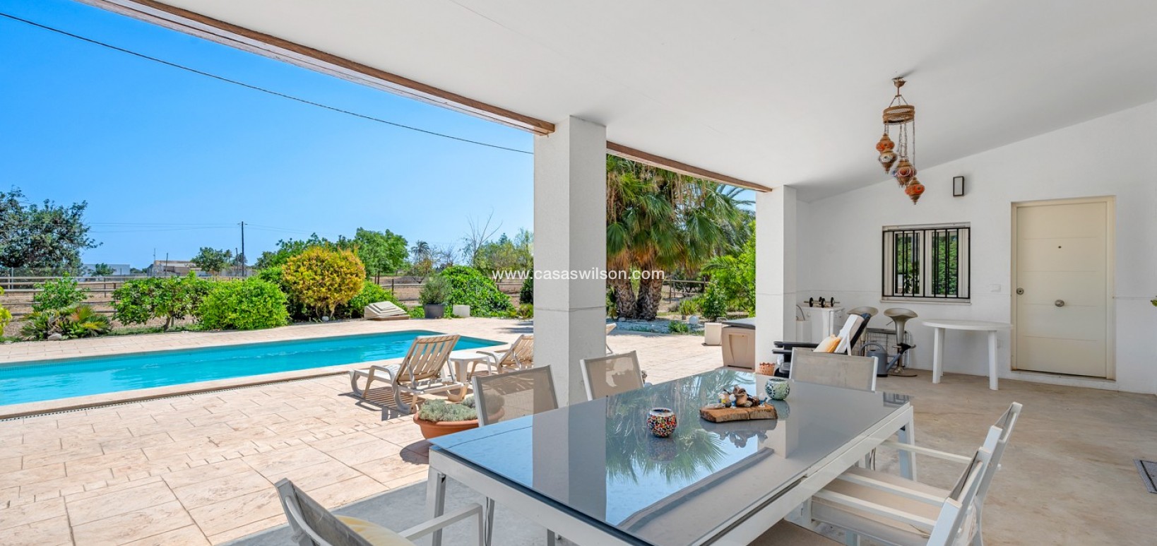 Venta - Finca - Elche - Elche/Elx