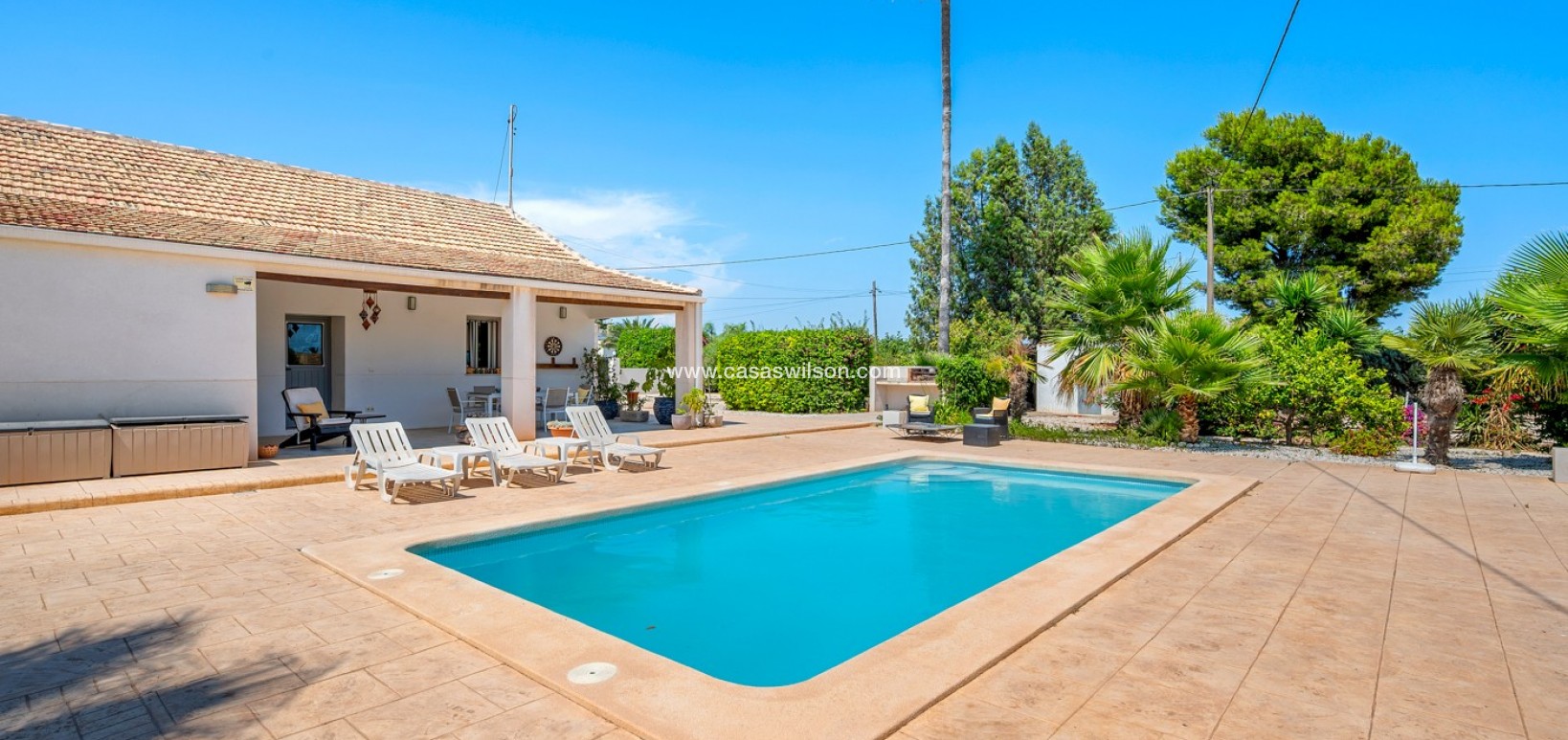 Venta - Finca - Elche - Elche/Elx